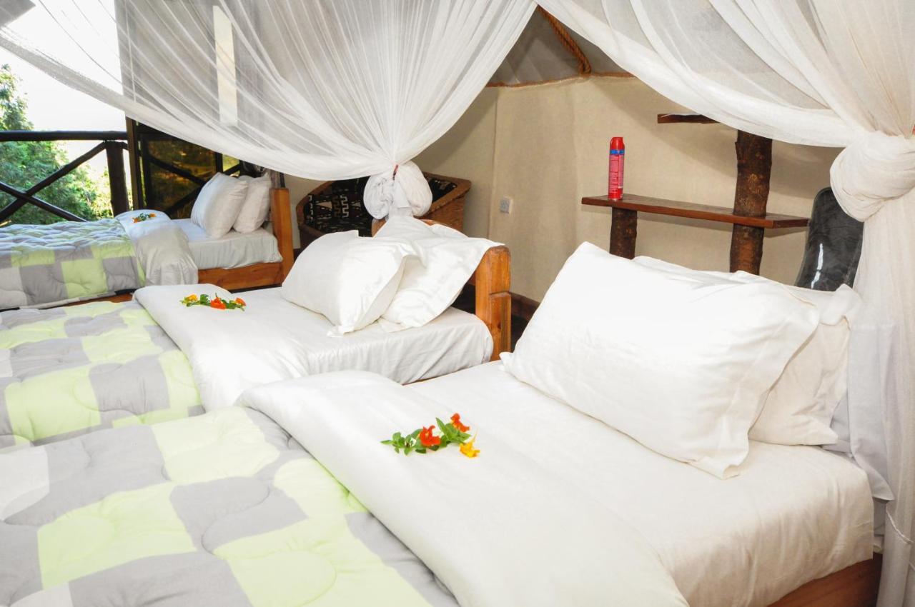 Karama Lodge Arusza Zewnętrze zdjęcie