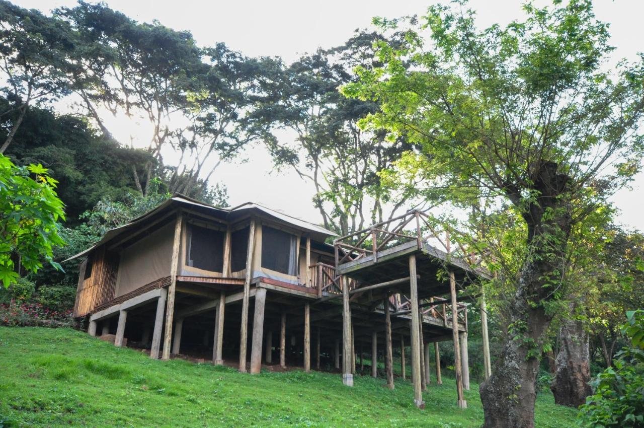 Karama Lodge Arusza Zewnętrze zdjęcie