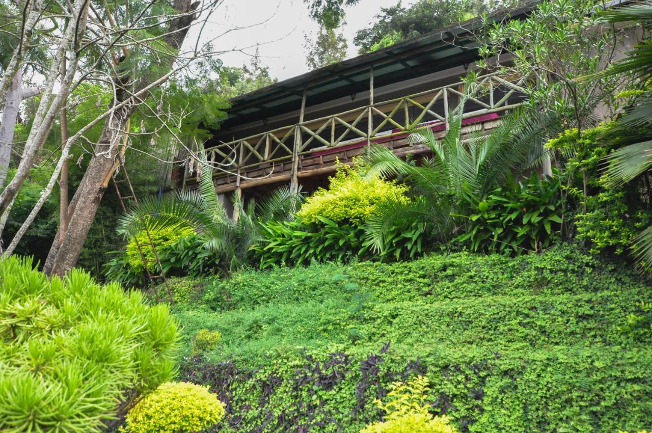 Karama Lodge Arusza Zewnętrze zdjęcie