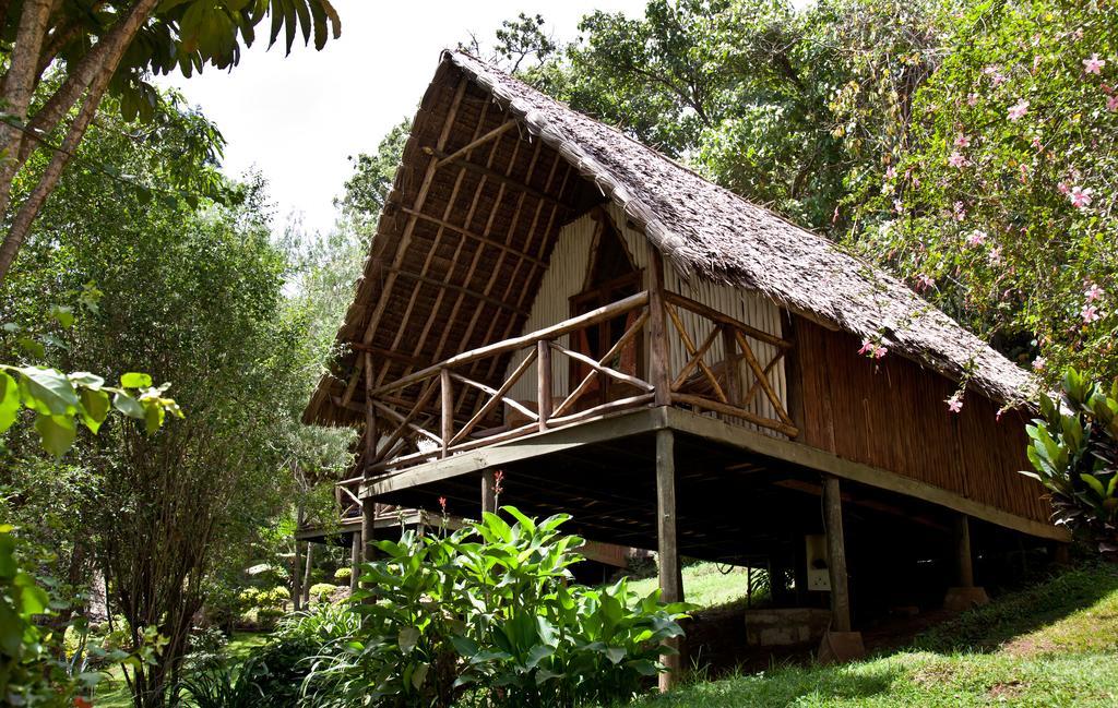 Karama Lodge Arusza Zewnętrze zdjęcie