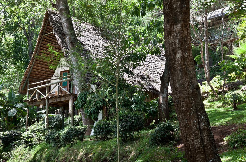 Karama Lodge Arusza Zewnętrze zdjęcie