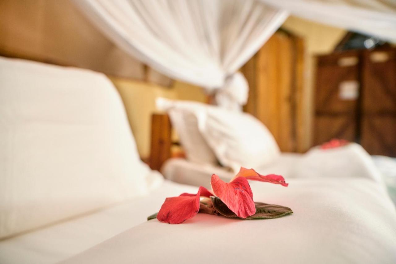 Karama Lodge Arusza Zewnętrze zdjęcie
